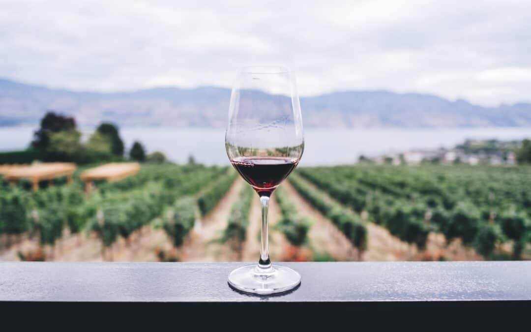 Vinparningar: De perfekta vinerna som passar till dina favoritmaträtter